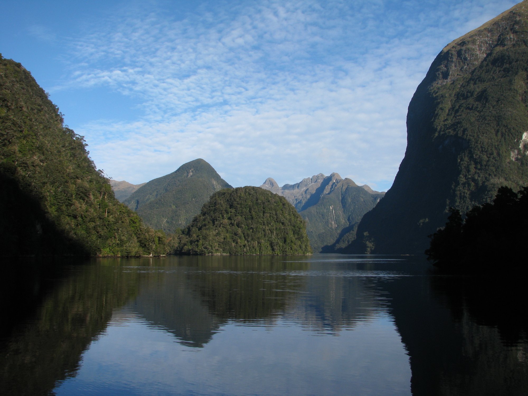 Evacuation alert after strong earthquake shakes NZ