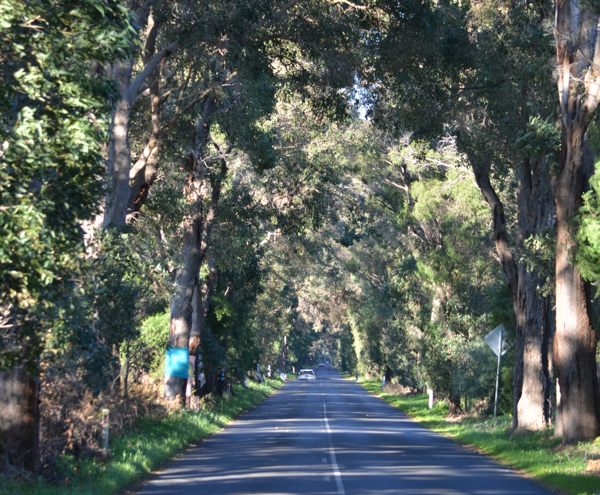 WA heritage department asks City of Busselton for more information on Aboriginal site clearing