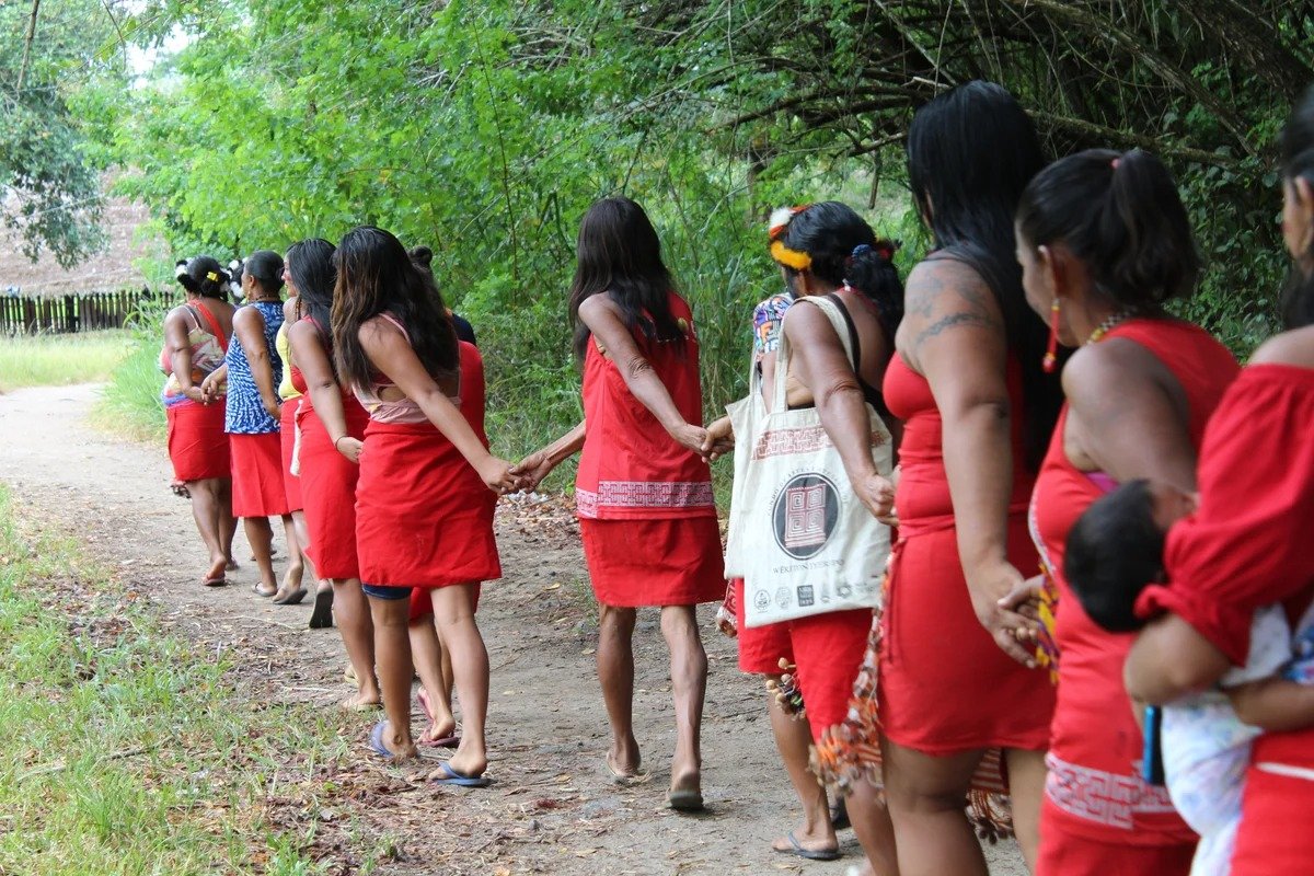 Indigenous Brazilians denied language interpreter at election voting booth