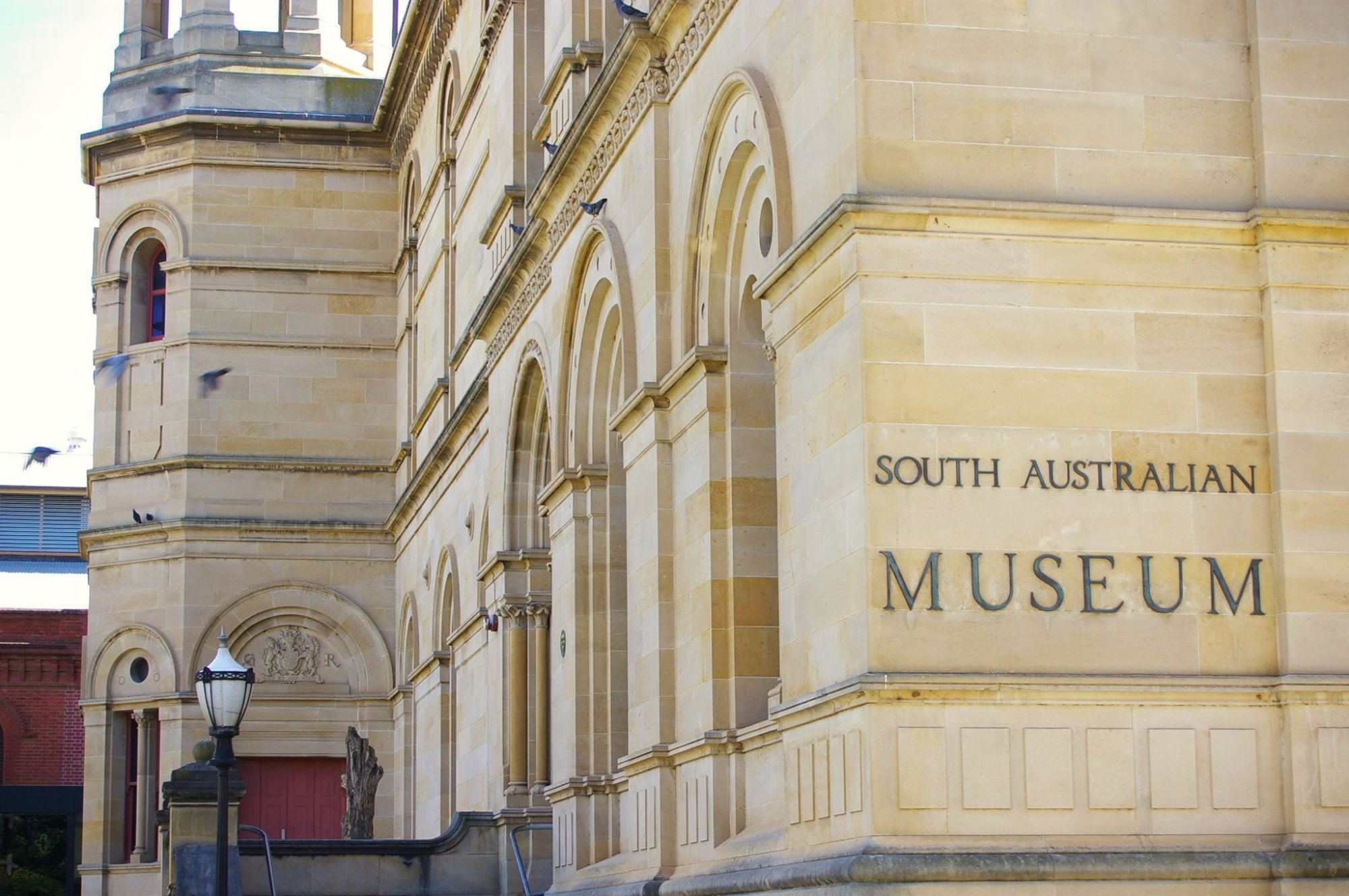 South Australian Museum invites Kaurna knowledge holders and experts to join working group