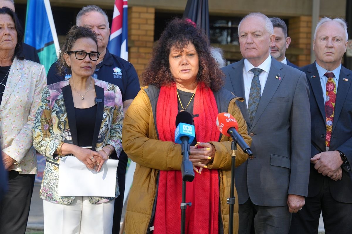 'Only intensifies distrust': McCarthy criticises NT child protection laws