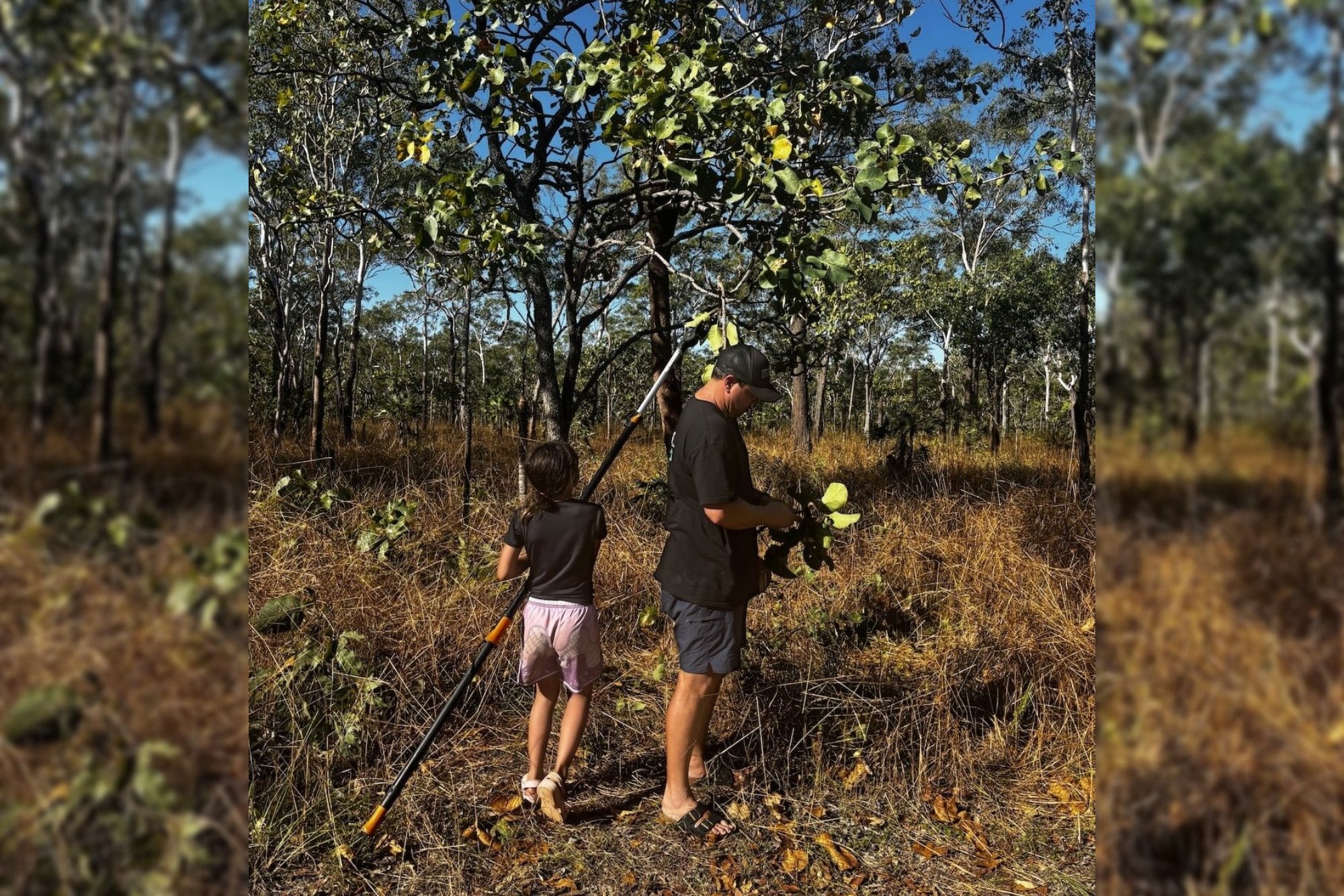 Major Kakadu plum purchase shows Indigenous supply chain benefits