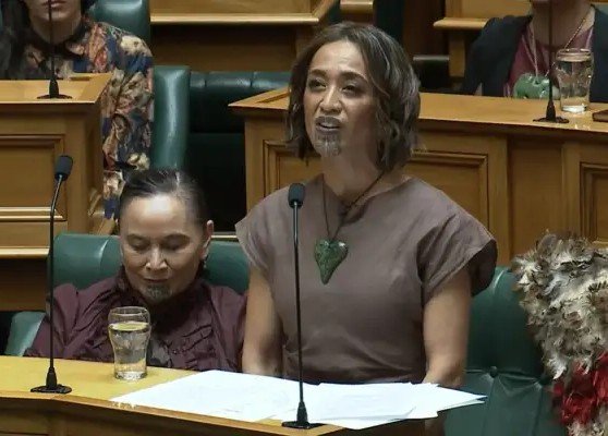 Conservative government's moves to make English a New Zealand official language causing stir among Māori MPs