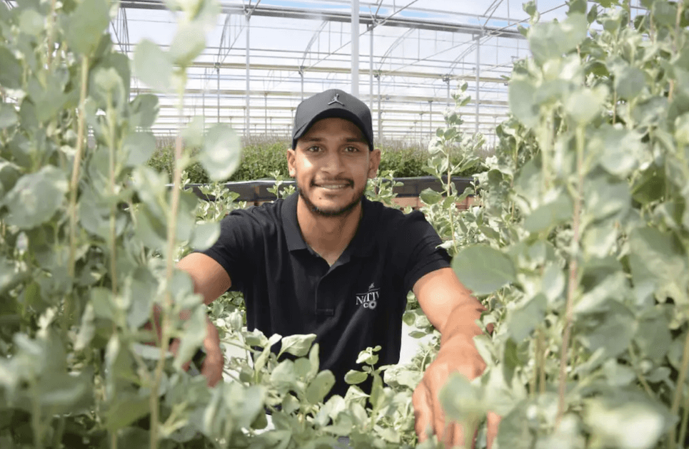 Devon Fiddler Footballer explores deep cultural ties of Native fo... | Indigenous ...