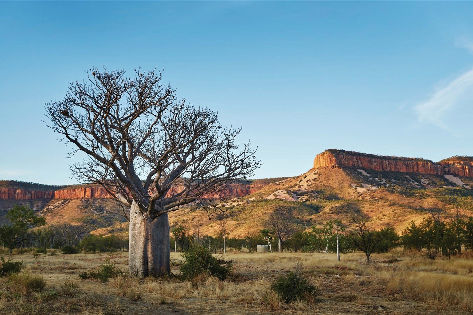 Free family history information sessions coming to East Kimberley