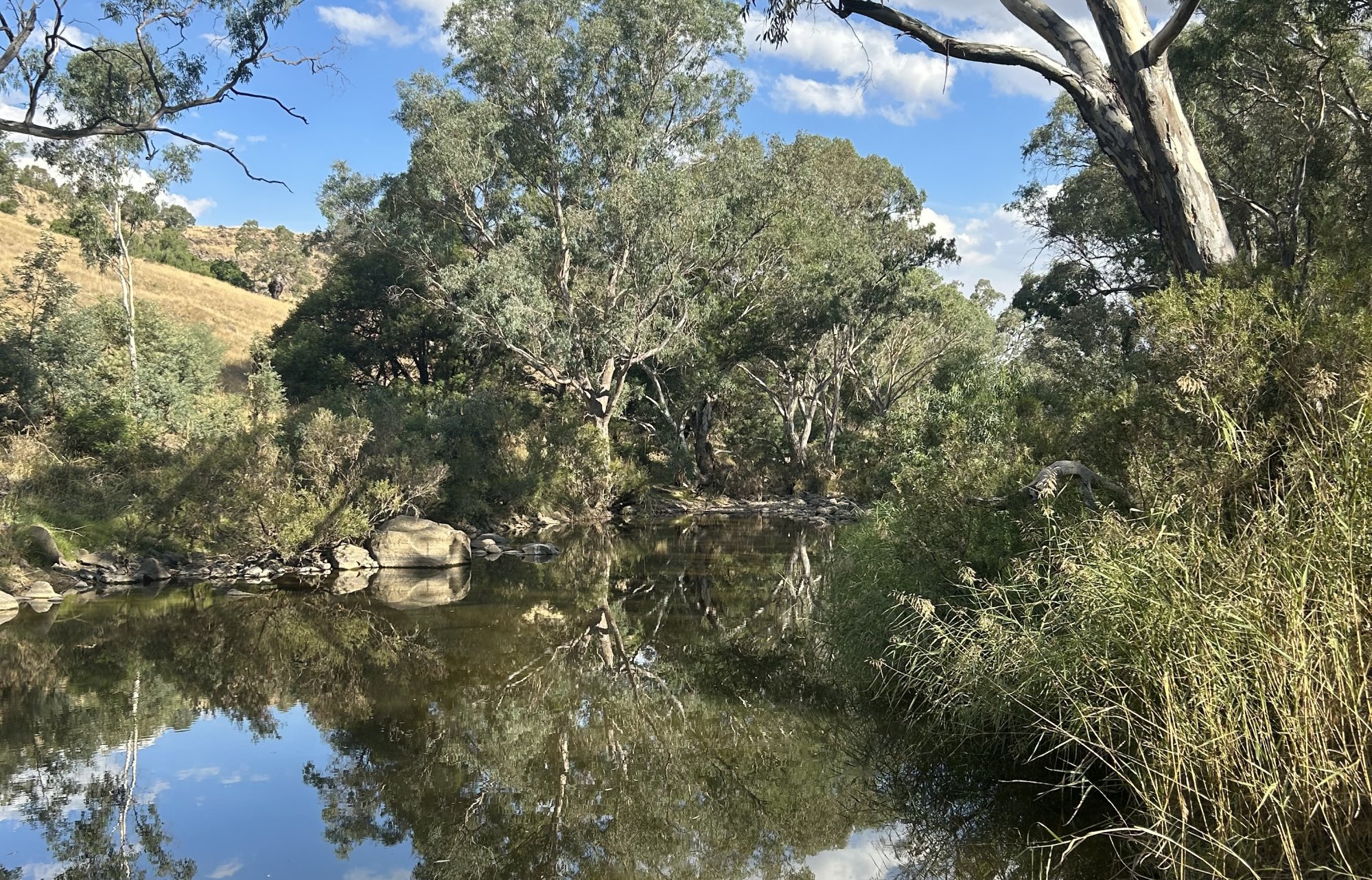 'Better outcomes for waterways and Country': DJAARA releases first Environmental Water Plan
