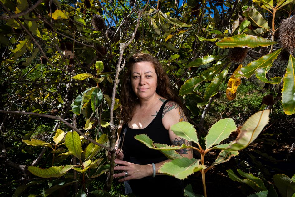 Indigenous Led Reseacrh New Indigenous-led research shows significant benef... | National ...