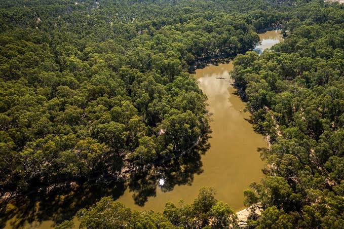 Wadi Wadi Traditional Owner launches legal action to protect significant sites on the Murray River