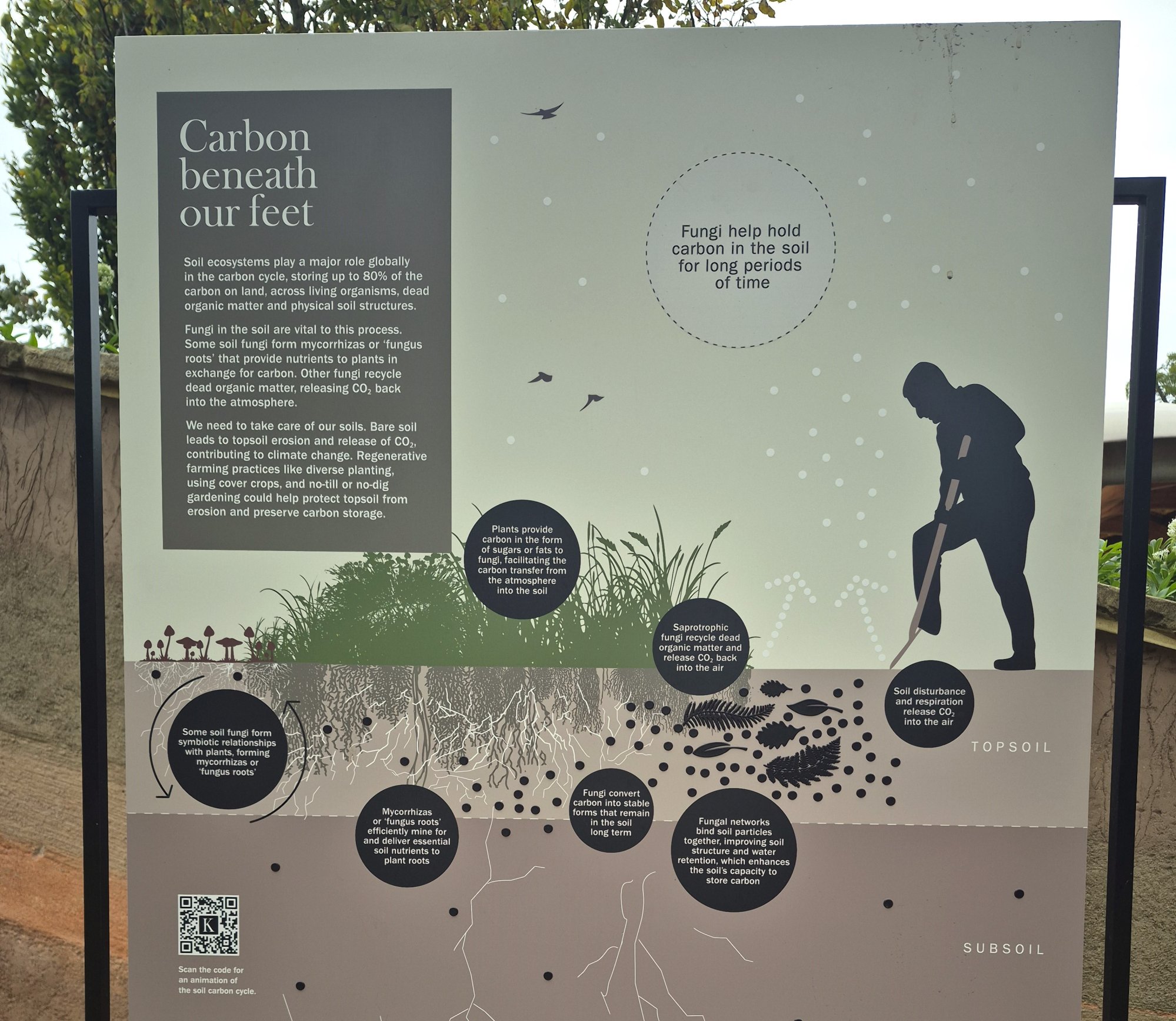 Mangarri Man: The beauty of botanic parks and gardens