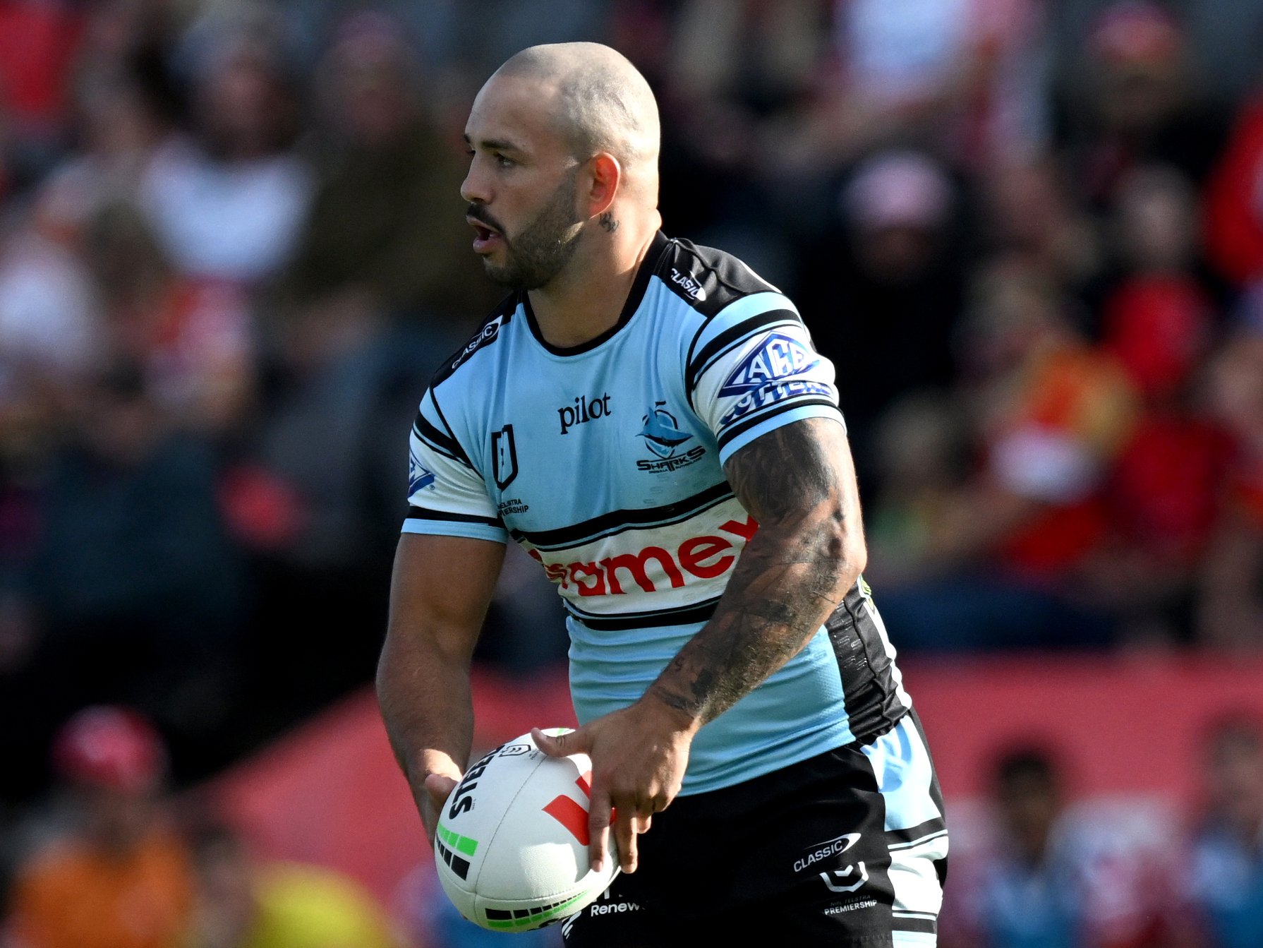 Sharks birthday boy bites Dolphins in record demolition